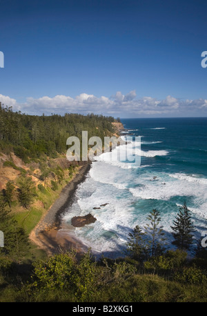 Une vue portrait de la baie d'Anson avec des pins Norfolk qui s'élongent dans l'océan Pacifique le long d'une falaise escarpée, île Norfolk, Australie Banque D'Images