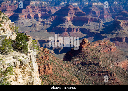 Point d'Ange du Grand Canyon- matin 10 Banque D'Images