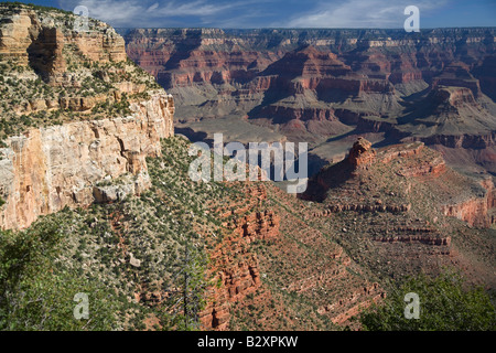 Point d'Ange du Grand Canyon- matin 11 Banque D'Images