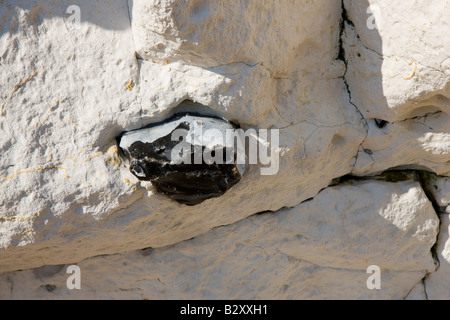 Briquet intégré dans les falaises de craie blanche à Joss Bay dans le Kent Banque D'Images