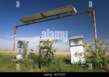 Les mauvaises herbes qui poussent sur les pompes à essence sur l'ancienne autoroute Lincoln, Nebraska, États-Unis 30 Byway, NW Banque D'Images