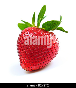 Seul des fraises fraîches isolées sur fond blanc Banque D'Images