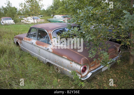 Nouvelle Chevrolet et 1960 voitures, jamais avant terme, pourrissant dans domaine agricole près de Norfolk, Nebraska Banque D'Images
