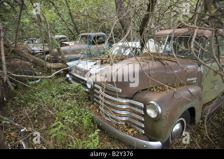 Nouvelle Chevrolet et 1960 voitures jamais exécuter pourrissant dans domaine agricole près de Norfolk, Nebraska Banque D'Images