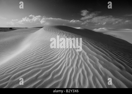 Sam Sand Dunes, grand désert de Thar, Rajasthan, Inde, sous-continent indien, en Asie Banque D'Images