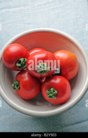 La tomate FERLINE F1 VARIÉTÉ AVEC LA RÉSISTANCE À CERTAINS Banque D'Images