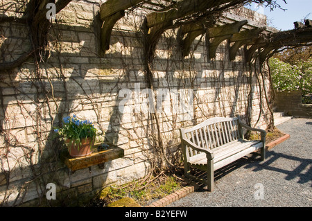 Banc de jardin avec treillis Banque D'Images