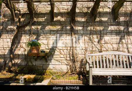 Banc de jardin avec treillis Banque D'Images