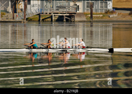 L'équipe d'aviron féminin pratique coups sur lagoon Victoria British Columbia Canada Banque D'Images