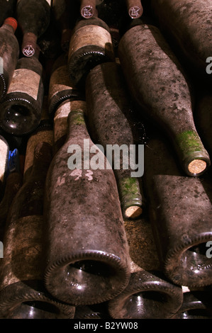 Le vieillissement des bouteilles dans la cave. Domaine Charles Joguet, Clos de la Dioterie, Chinon, Loire, France Banque D'Images