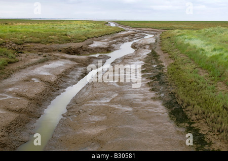 Les fens paysage, la laver, Lincolnshire, Angleterre Banque D'Images