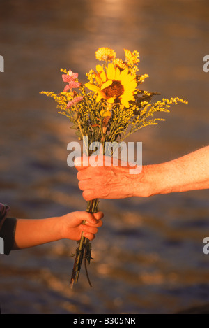 Petit-enfant offrant bouquet de fleurs sauvages à grand-mère Banque D'Images