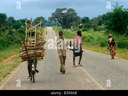 Ougandais on rural road avec cycliste transporter le bois, l'Ouganda, l'Afrique Banque D'Images