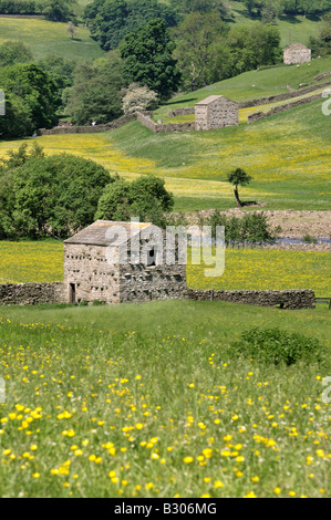 Granges traditionnelles en pierre et murs en pierre sèche des prairies de fleurs sauvages près de Gunnerside Swaledale England Yorkshire Dales National Park Banque D'Images