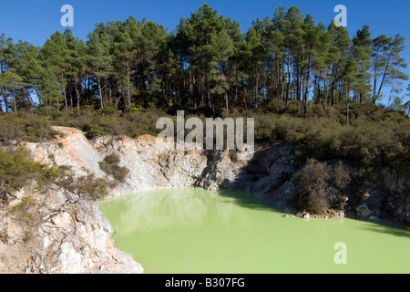 'Devil's Bath' cratère, Waiotapu Thermal Wonderland, Nouvelle-Zélande Banque D'Images