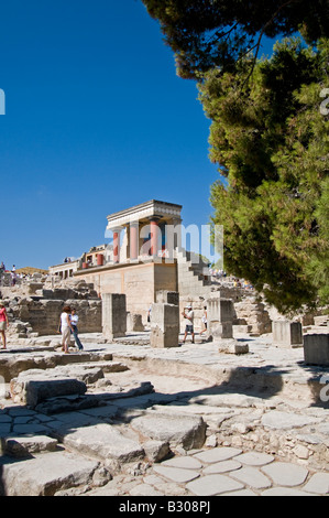 Knossos, Crète, Grèce. Site archéologique minoen. Banque D'Images