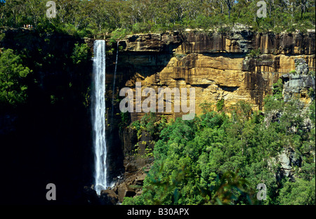 Fitzroy Falls Parc national Morton Nouvelle Galles du Sud près de Kangaroo Valley Banque D'Images