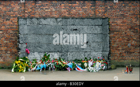 Mur de la mort d'Auschwitz-Birkenau State Museum (Mémorial du Camp de la mort) à Oswiecim, Pologne Banque D'Images