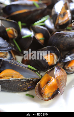 Une assiette de fruits de mer moules avec une sauce à l'ail Banque D'Images