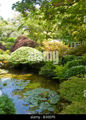 Le jardin japonais à Butchart Gardens, Brentwood Bay, île de Vancouver, Colombie-Britannique, Canada Banque D'Images