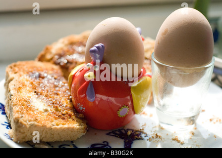 Œufs durs dans hen style egg cup avec tartines beurrées Banque D'Images