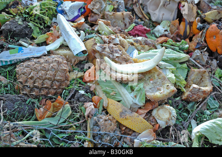 Compost Smart dans un jardin d'Islington London England UK Banque D'Images