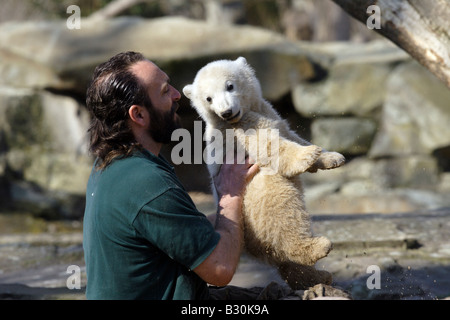 L'ours polaire Knut et zoo-keeper Thomas Doerflein, Berlin, Allemagne Banque D'Images