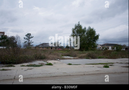 Dans la partie inférieure de la route vide Ninth Ward, La Nouvelle-Orléans Banque D'Images