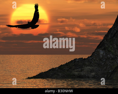 L'aigle et un déclin jaune un soaring eagle océan ci-dessus Banque D'Images