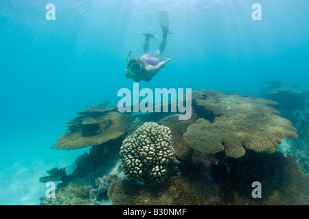 Plus de Snorkeler coraux dans le lagon de Bikini atoll de Bikini des Îles Marshall Micronésie Océan Pacifique Banque D'Images