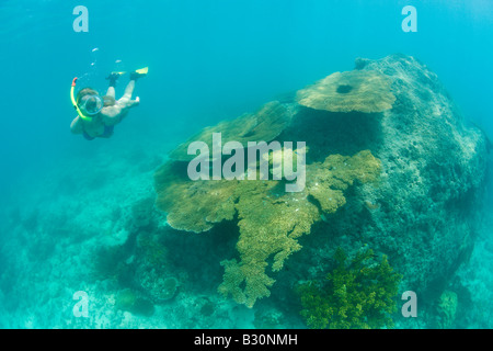 Plus de Snorkeler coraux dans le lagon de Bikini atoll de Bikini des Îles Marshall Micronésie Océan Pacifique Banque D'Images