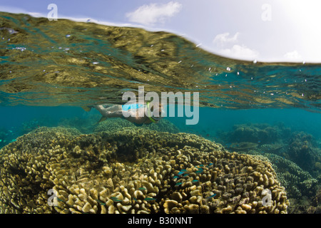 La Plongée à plus de coraux dans le lagon de Bikini atoll de Bikini des Îles Marshall Micronésie Océan Pacifique Banque D'Images