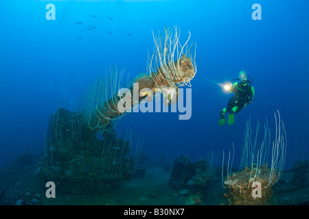 Plongeur et 5 pouce de Canon d'attaque USS Carlisle Transporter Îles Marshall Micronésie Océan Pacifique, l'atoll de Bikini Banque D'Images