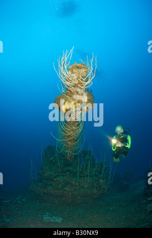 Plongeur et 5 pouce de Canon d'attaque USS Carlisle Transporter Îles Marshall Micronésie Océan Pacifique, l'atoll de Bikini Banque D'Images