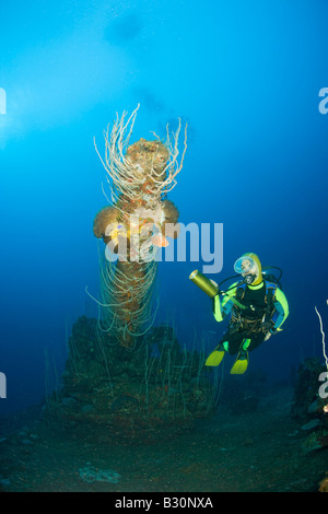 Plongeur et 5 pouce de Canon d'attaque USS Carlisle Transporter Îles Marshall Micronésie Océan Pacifique, l'atoll de Bikini Banque D'Images