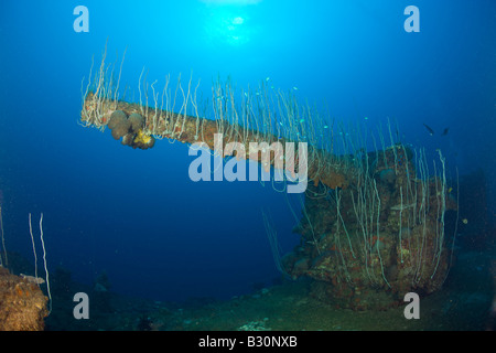 Canon de 5 pouces de USS Carlisle Transporteur attaque atoll de Bikini des Îles Marshall Micronésie Océan Pacifique Banque D'Images