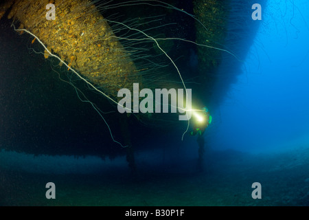 Plongeur au calibre 45 de 16 pouces massive arme sous le HIJMS Cuirassé Nagato atoll de Bikini des Îles Marshall Micronésie Océan Pacifique Banque D'Images