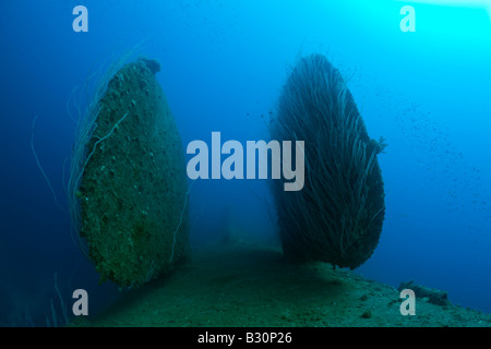 Safran de bas en haut fixant HIJMS Cuirassé Nagato atoll de Bikini des Îles Marshall Micronésie Océan Pacifique Banque D'Images