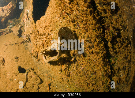 Pont sur la trompette de USS Saratoga atoll de Bikini des Îles Marshall Micronésie Océan Pacifique Banque D'Images