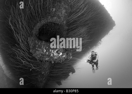 À l'Ancre plongeur Hawse trou à l'arc d'USS Saratoga atoll de Bikini des Îles Marshall Micronésie Océan Pacifique Banque D'Images