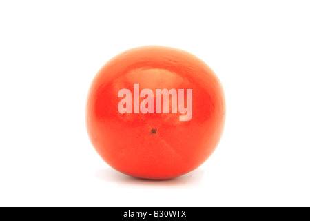 Diospyros kaki kaki, prunier, Japanese persimmon Banque D'Images