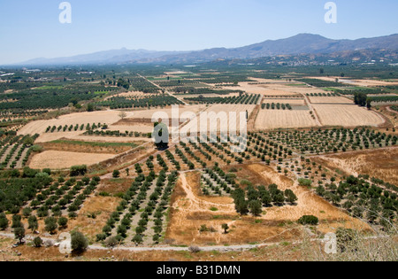 Phaistos, Crète, Grèce. Vue sur la campagne de Phaestos site archéologique Minoen ; fin Juillet Banque D'Images