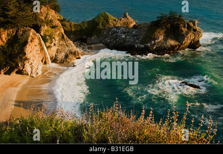 McWay Falls déversements sur Julia Pfeiffer Beach le long de la côte de Big Sur Banque D'Images