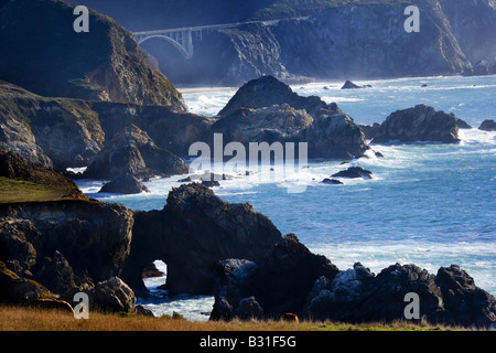 Voir à au sud de Rocky Point, Big Sur, Californie Banque D'Images