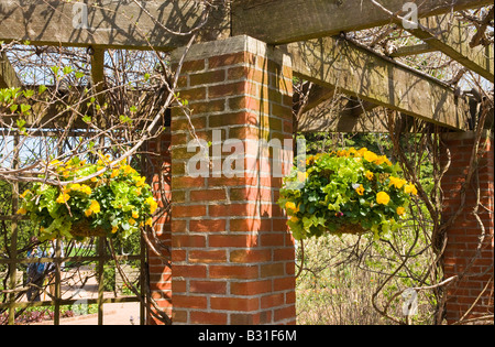 Jardin treillis de paniers de fleurs suspendus Banque D'Images