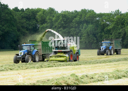 Coupe de l'ensilage de récolte des fourrages et pâturages pour nourrir les bovins pendant l'hiver sur Parkhurst Farm dans le West Sussex Banque D'Images