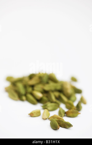 Cardamome gousses sur fond blanc Banque D'Images