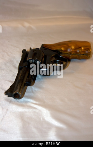 Silo-357 Magnum chargé Banque D'Images
