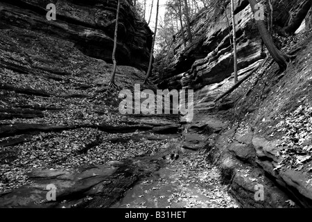 CANYON DANS STAREVD FRANÇAIS ROCK STATE PARK LA SALLE COUNTY ILLINOIS USA Banque D'Images