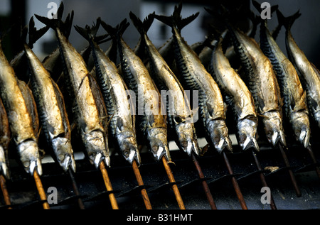 Poisson sur un bâton, une cuisine allemande traditionnelle Banque D'Images